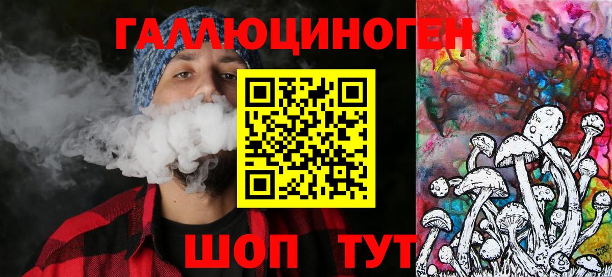 Галлюциногенные грибы Psilocybe Назарово